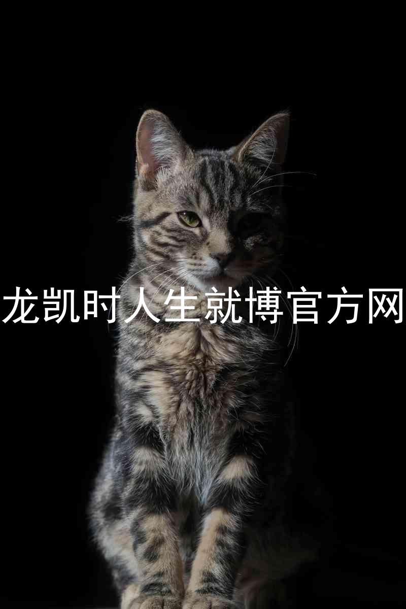 尊龙凯时人生就博官方网站